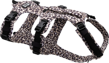Wau-Safety Sicherheitsgeschirr Leo Dark XS für Hunde – Bild 1 von 1