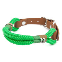 Produktbild von Wau-Straight Hundehalsband aus Biothane wasserfest Grün Größe M