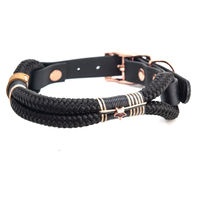Produktbild von Wau-Straight Tauhalsband Tiffanys XL Schwarz aus Biothane waterproof für große Hunde 49-59cm