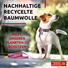 WAUDOG Führleine für Hunde aus Baumwolle in Rosa mit reflektierenden Elementen und Metallverschluss – Bild 1 von 3