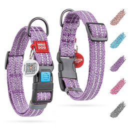 WAUDOG Hundehalsband aus Baumwolle Lila mit Klickverschluss und QR-Code Reflektierend 20mm 24-40cm – Bild 1 von 6