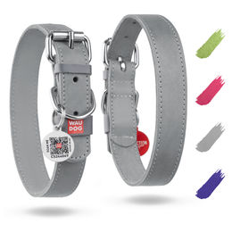 WAUDOG Hundehalsband aus Leder in Grau verstellbar 38-49cm – Bild 1 von 4