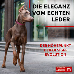 WAUDOG Hundehalsband aus Leder in Rosa verstellbar 46-60 cm – Bild 1 von 4