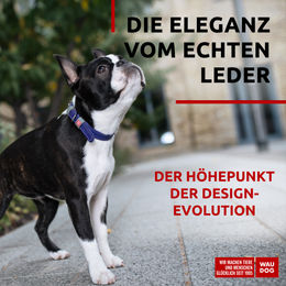 WAUDOG Hundehalsband aus Leder lila verstellbar 30-39cm – Bild 1 von 5