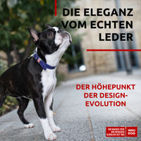 Produktbild von WAUDOG Hundehalsband aus Leder lila verstellbar 30-39cm