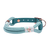 Produktbild von Waussoni Hundehalsband aus Biothane in Türkis Größe L 39-49cm wasserabweisend