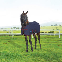 Produktbild von Weatherbeeta 1200D Foal Standard Neck Pferdedecke für Fohlen in Navy/Burgundy mit 220g Füllung