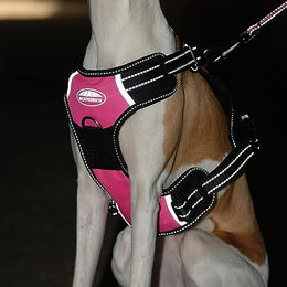 Weatherbeeta Anti Pull Reisegeschirr Hund Schwarz Pink Größe L - 1 Stk. – Bild 1 von 7