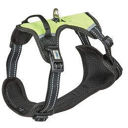 Weatherbeeta Anti Pull Reisegeschirr Sportgeschirr aus Polyester Schwarz Gelb Größe XL – Bild 1 von 9