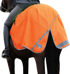 WeatherBeeta Arbeitsdecke WB542 300d Reflektierend Orange XS – Bild 1 von 1