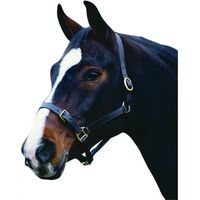 Produktbild von Weatherbeeta Collegiate ComfiTec Lederhalfter für Ponys in Schwarz