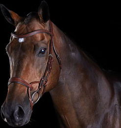 Weatherbeeta Collegiate Comfitec Trainingszaumzeug für Pferde aus Leder in Braun – Bild 1 von 4