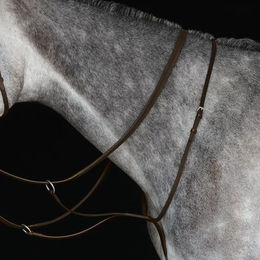 Produktbild von Weatherbeeta Collegiate IV Renn Martingal für Pferde aus Leder in Braun für Ponys