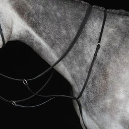 Produktbild von Weatherbeeta Collegiate IV Renn Martingal für Pferde aus Leder in Schwarz