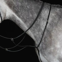 Produktbild von Weatherbeeta Collegiate IV Renn Martingal für Pferde aus Leder in Schwarz