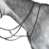 Produktbild von Weatherbeeta Collegiate IV Running Martingal für Warmblut Pferde in Braun
