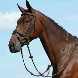 Produktbild von Weatherbeeta Collegiate Syntovia+ Martingal für Pferde aus Kunstleder Braun Pony