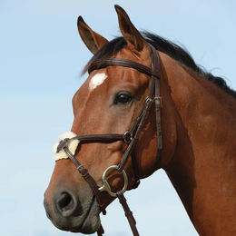 Produktbild von Weatherbeeta Collegiate Syntovia+ Pony Trense aus Kunstleder in Braun