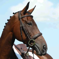 Produktbild von Weatherbeeta Collegiate Syntovia+ Trensenzaum für Ponys aus Kunstleder in Braun, gepolstert