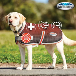 WeatherBeeta ComFiTec 1200D Therapy-Tec Hundemantel wasserdicht Schwarz Silber Rot – Bild 1 von 6