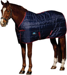 WeatherBeeta ComFiTec 210D Channel Quilt Pferdedecke mit Standardhals 100g – Bild 1 von 3