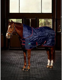 Weatherbeeta Comfitec 210D Channel Quilt Stable Combo Neck Outdoor-Pferdedecke mit 100g Füllung in Blau oder Navy/Burgundy 165 cm – Bild 1 von 3