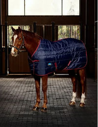 WeatherBeeta Comfitec 210D Channel Quilt Stable Standard Neck Pferdedecke 220g Navy – Bild 1 von 5