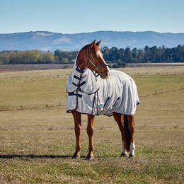 Produktbild von WeatherBeeta Comfitec Airflow Fly Sheet Combo Pferdedecke aus Polyester