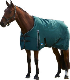 WeatherBeeta Comfitec Classic Combo-Kragen Pferdedecke 160cm Tannengrün Schwarz – Bild 1 von 1
