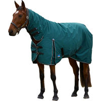 Produktbild von WeatherBeeta Comfitec Classic Combo-Kragen Pferdedecke Tannengrün Schwarz 183cm