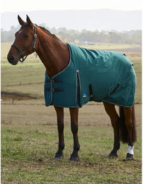 WeatherBeeta Comfitec Classic Outdoor-Pferdedecke 220g aus Polyester – Bild 1 von 2