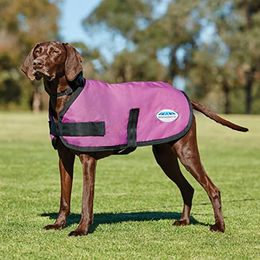 WeatherBeeta Comfitec Classic Parka Hundejacke wasserdicht Pink 45cm – Bild 1 von 2