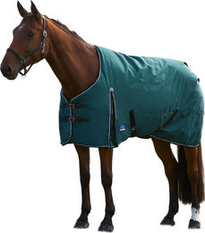 WeatherBeeta Comfitec Classic Pferdedecke 160cm Tannengrün Schwarz – Bild 1 von 1