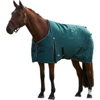 Produktbild von WeatherBeeta Comfitec Classic Pferdedecke 160cm Tannengrün Schwarz