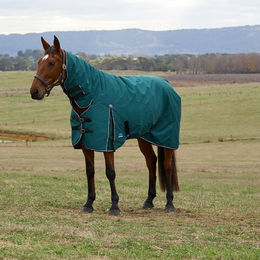 Produktbild von Weatherbeeta Comfitec Classic Turnout Combo Pferdedecke 120 cm