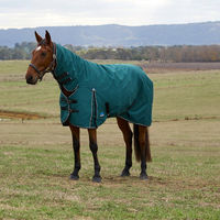 Produktbild von Weatherbeeta Comfitec Classic Turnout Combo Pferdedecke 120 cm