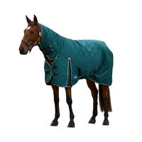 Produktbild von WeatherBeeta Comfitec Classic Turnout Combo Pferdedecke 220g Forest Green