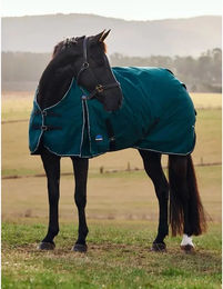 Weatherbeeta ComFiTec Classic Turnout Outdoor-Pferdedecke mit 50g Füllung in Grün/Schwarz 145/195 cm – Bild 1 von 10