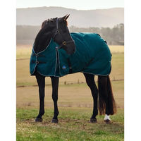 Produktbild von Weatherbeeta ComFiTec Classic Turnout Outdoor-Pferdedecke mit 50g Füllung in Grün/Schwarz 145/195 cm