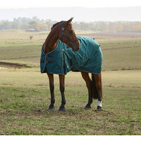 Produktbild von Weatherbeeta Comfitec Classic Turnout Pferdedecke 220g mit Polyester-Füllung