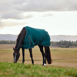Produktbild von Weatherbeeta Comfitec Classic Turnout Pferdedecke 50g Grün