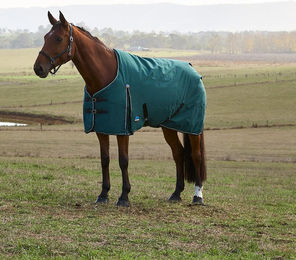 Weatherbeeta Comfitec Classic Turnout Pferdedecke mit 220g Füllung – Bild 1 von 10