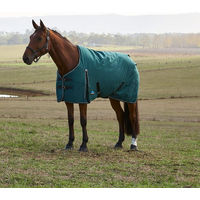 Produktbild von Weatherbeeta Comfitec Classic Turnout Pferdedecke mit 220g Füllung