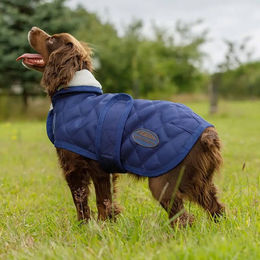 Weatherbeeta Comfitec Deluxe Diamond Quilt Hundemantel Winter Fleece Blau 60cm – Bild 1 von 9