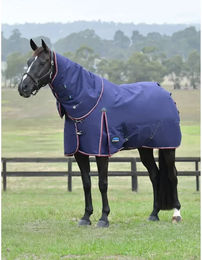 Produktbild von Weatherbeeta Comfitec Essential Außenpferdedecke mit abnehmbarem Hals aus Polyester Blau 135 cm