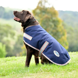 Weatherbeeta Comfitec Essential Hundemantel – Bild 1 von 4