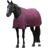 Produktbild von Weatherbeeta Comfitec Essential Turnout 0g Pferdedecke aus Polyester