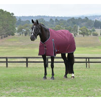 Produktbild von Weatherbeeta Comfitec Essential Turnout 0g Pferdedecke aus Polyester