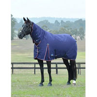 Produktbild von Weatherbeeta Comfitec Essential Turnout Combo 220g Outdoor-Pferdedecke aus Polyester
