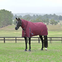 Produktbild von Weatherbeeta Comfitec Essential Turnout Combo 220g Pferdedecke aus Polyester
